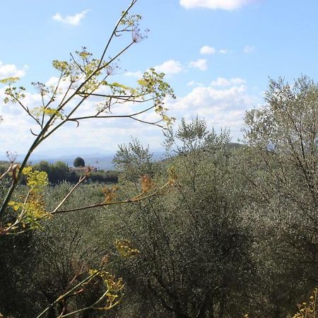 Country House Il Covo Della Civetta Barberino Val d'Elsa Bagian luar foto